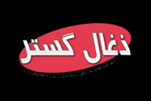 وارد کننده ذغال نارگیل