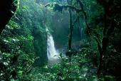  تصاویری زیبا از جنگل آمازون   